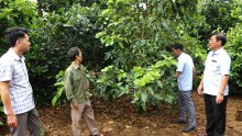 Đảng bộ xã Đăk Đrông đẩy mạnh thực hiện Nghị quyết Đại hội Đảng bộ xã