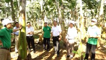 Đoàn thẩm định NTM nâng cao của tỉnh về thẩm định  các tiêu chí xã NTM nâng cao tại xã Tâm Thắng
