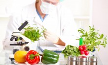 Các quy định về biện pháp an toàn thực phẩm và kiểm dịch động vật, thực vật của các nước Thành viên WTO tháng 03/2024