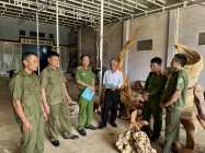 Bước ra từ “cái chết trắng” để  làm lại cuộc đời