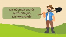 Ban hành Quy định về hạn mức giao đất; hạn mức công nhận đất ở; hạn mức nhận chuyển quyền sử dụng đất nông nghiệp của cá nhân; điều kiện, diện tích đất tối thiểu của việc tách thửa đất, hợp thửa đất đối với từng loại đất trên địa bàn tỉnh Đắk Nông