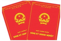 Quyết định thu hồi giấy chứng nhận đăng ký doanh nghiệp theo đề nghị của Cục Thuế tại Công văn số 2563/CTDNO-KK