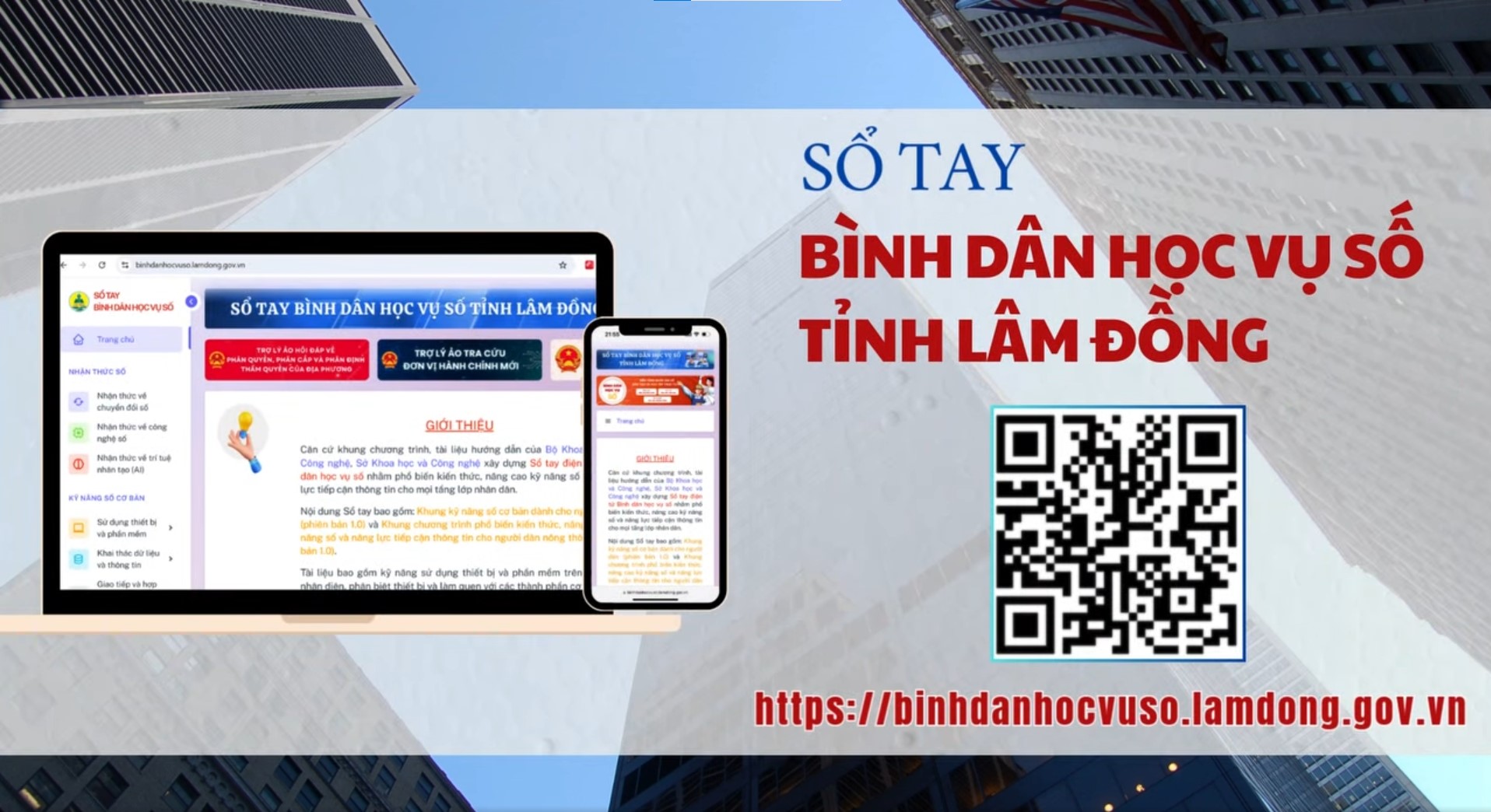 Bình dân học vụ số