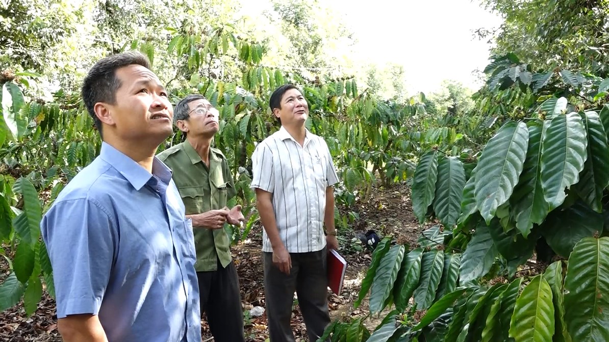 dak rong 1