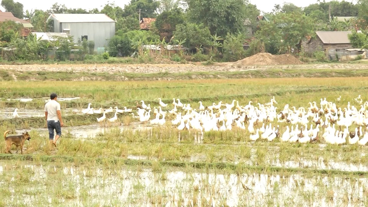 viet tha dong 2
