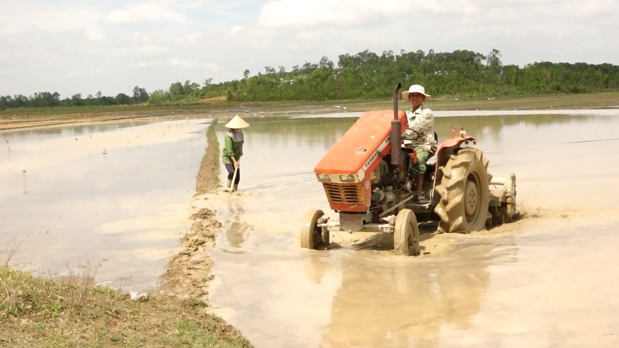 lua dak rong 2