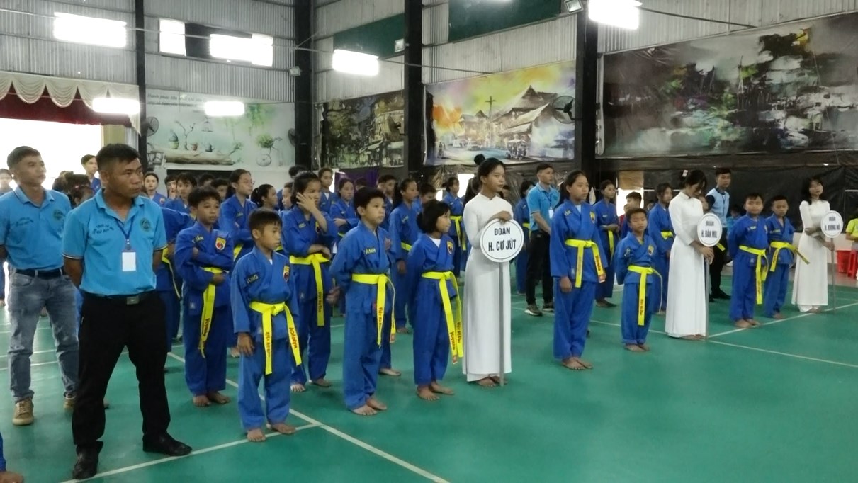 vovinam 2