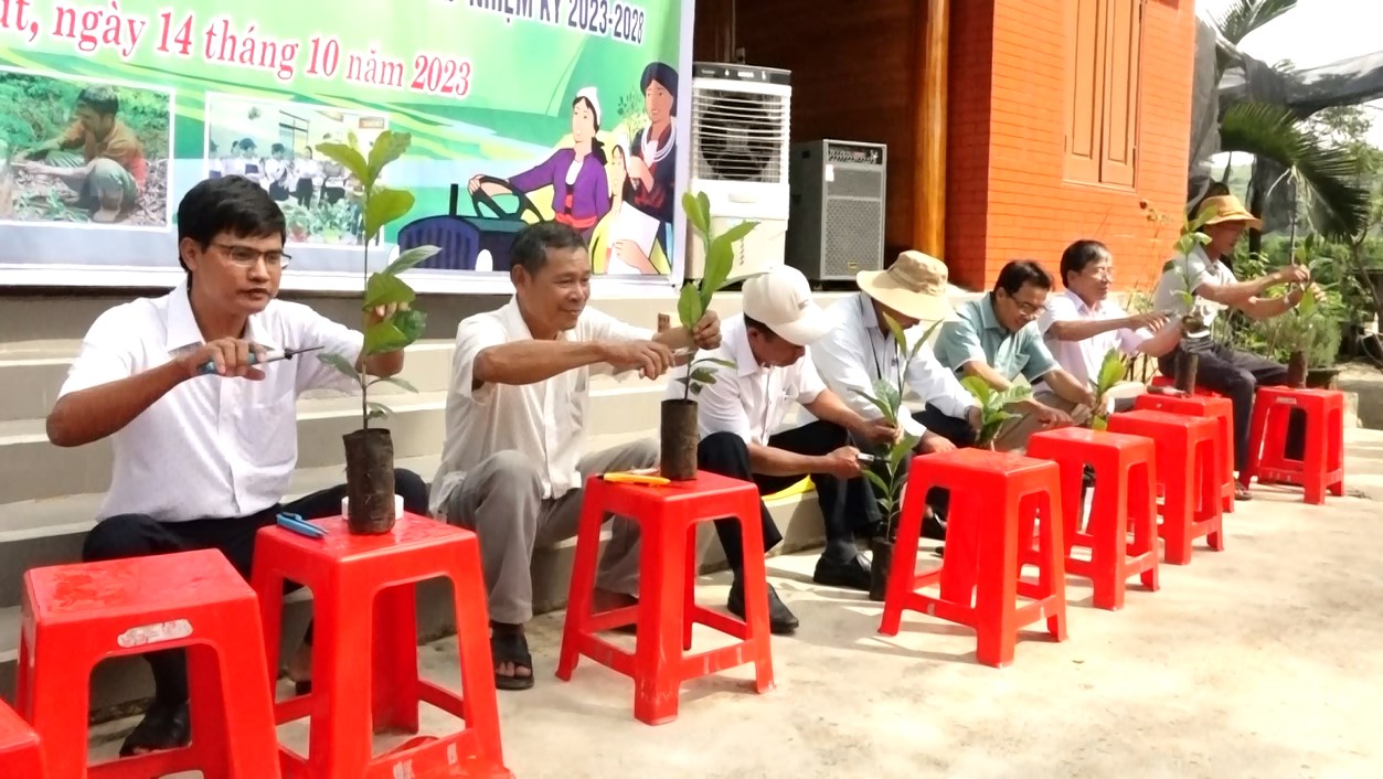 nha nong 2