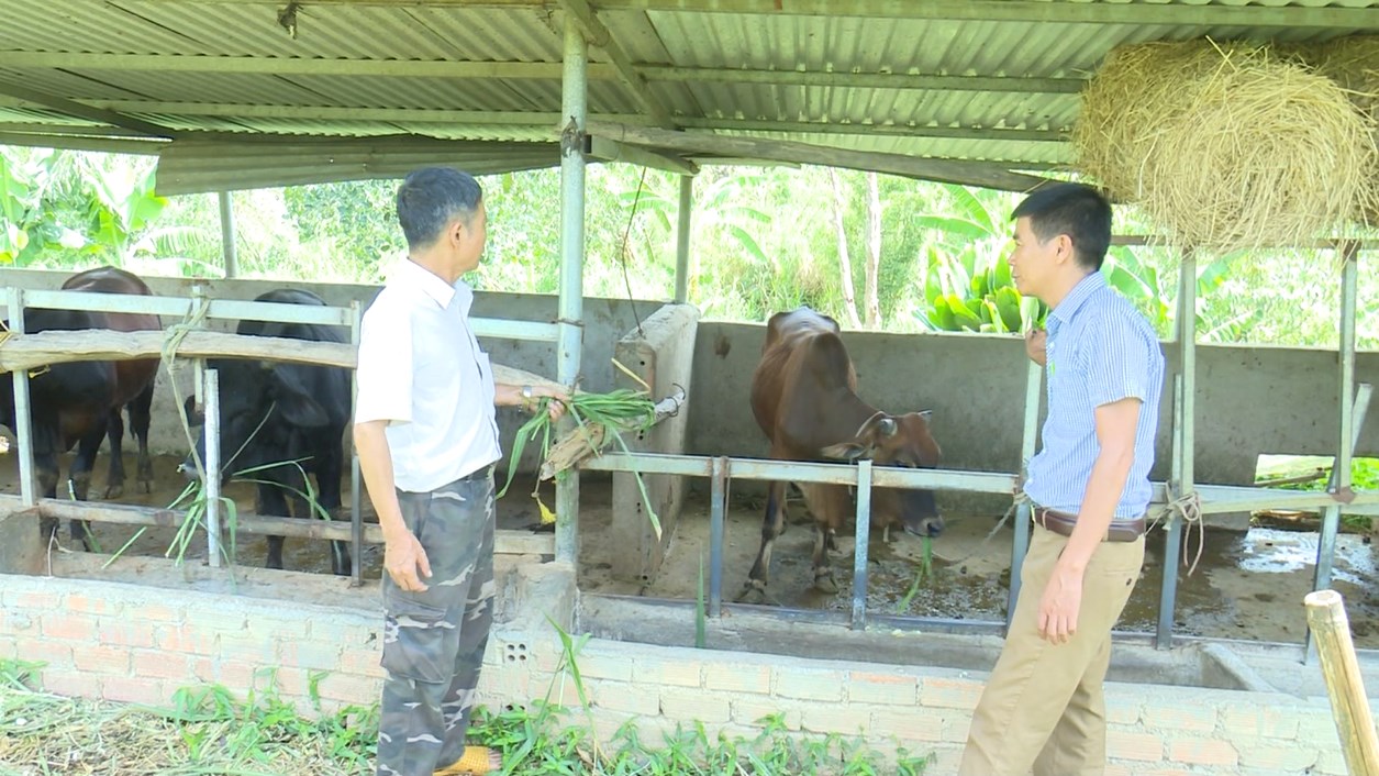 nong dan 3