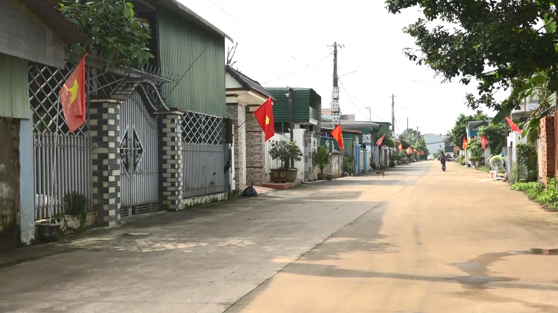 tung ngo nho thon cung treo co to quoc ngay ngan dong bo the hien tinh than tu giac va phan khoi cua nguoi dan